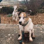 Wesley Dowd - @dowdwesley - Instagram