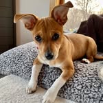 Wesley Driscoll - @bubbarooandwesleytoo - Instagram