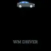 WMDRIVER - @wesleymateusdriver - TikTok