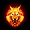 Wesley Drost - @wesley.drost - TikTok
