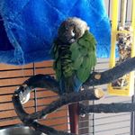 Wesley Duran - @wesleythebird - Instagram