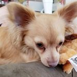 Wesley Edmonds - @wesleyedmonds9 - Instagram