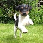 Wesley Edmonds - @wes1jrt - Instagram
