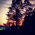Wesley Eller - @wess.eller - Instagram