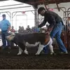 wesleyengleking03 - @ibaseball16 - TikTok