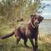 Wesley Fleming - Facebook