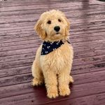 Wesley Harrison Fuller - @_wes.world - Instagram