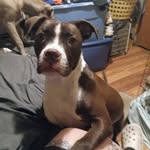 Wesley Gallimore - @gallimorewesley - Instagram