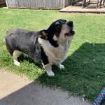 Wesley Gentry - @smelly_tacoz - Instagram