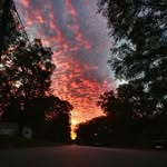 Wesley Gentry - @wesleygentry38 - Instagram
