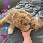 Wesley Giang - Facebook