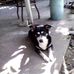 Wesley Gilmore - Facebook