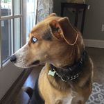 Wesley - @wesley_gilmore_nelson - Instagram