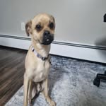 @winstonwesleygilmore - Instagram