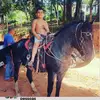 Wesley Gold - @lukinhas.do.grau0 - TikTok
