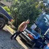 Wesley Gomez883 - @wgomez58 - TikTok