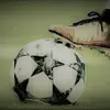 Wesley Gomez - @wesley.gomez37 - TikTok