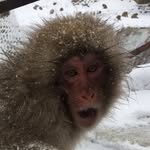 YEAR 7 2019 GOSSIP - @wesley_gosssip - Instagram