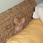 Wesley grace - @wesleygrace2 - Instagram