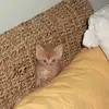 Wesley Grace - @wesley.grace3 - TikTok