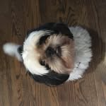 Grayson And Wesley - @wesley_and_grayson - Instagram