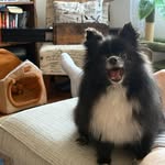 Wesley Greene - @wesleygreene630 - Instagram