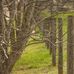 Wesley Greeson Farm - Facebook