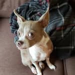 Wesley Gregg - @wesg6477 - Instagram