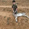 Wesley Harrell - @wesley.harrell4 - TikTok