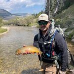Wesley M Hedlund - @wesleyhedlund - Instagram