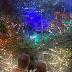 Wesley Heimens - @wesleyheimens - Instagram