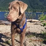 Wesley Hendrickson - Facebook