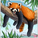 Wesley Hendrickson - Facebook