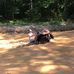 Wes Holifield - Facebook