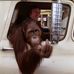Wesley Holman - Facebook