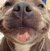 Wes Harper - Facebook