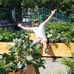Wesley Hooper - Facebook