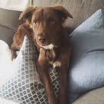 Wesley Hopper - @_thewildwildwes - Instagram