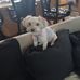 Wesley Gole Hurd Sr. - Facebook