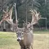Jonathan Wesley Ingram - @jonathan.wesley.i - TikTok