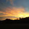 Wesley jarrell - @wesleyjarrell581 - TikTok