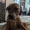 wesleyjessup - @wesleyjessup - TikTok