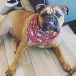 Wesley Johnson - @wesleyjohnsonactual - Instagram