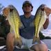 Wes Kinard - Facebook