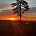 Wesley Kitchens - Facebook
