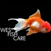 Wesley Knox - @wesley.knox - TikTok