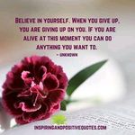 Wesley Koech - @wesley.koech.58511 - Instagram