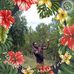 Wesley Koech - Facebook