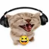 wesleyylamb - @wesleyylamb - TikTok
