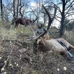 Wesley Lamb - @wesley_boost - Instagram